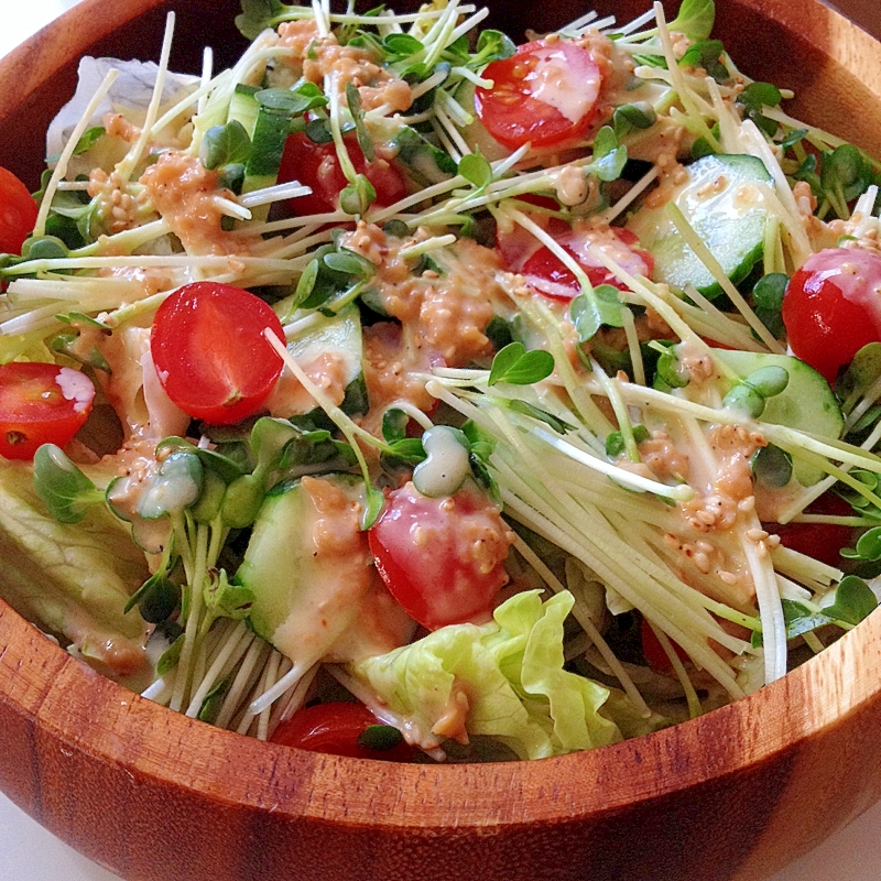 野菜サラダ