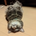 sizu☆