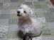 mariron★
